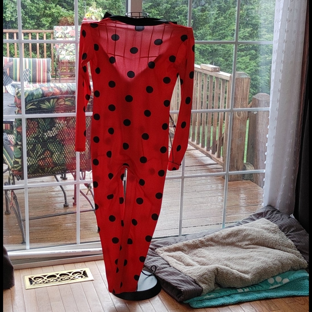Miraculous costume